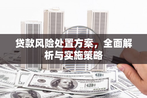 赞皇贷款风险处置方案，全面解析与实施策略