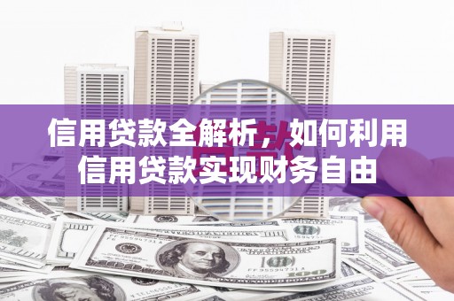 赞皇信用贷款全解析，如何利用信用贷款实现财务自由