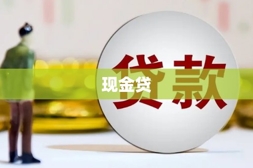 赞皇现金贷