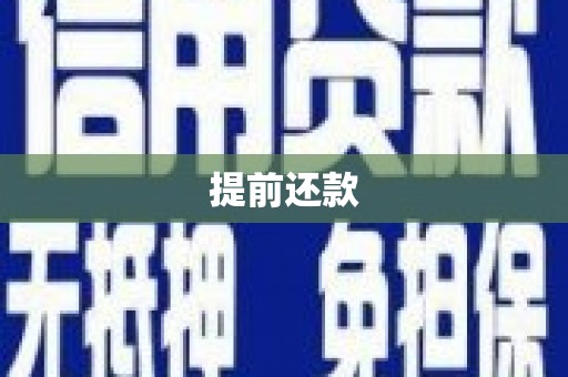 赞皇提前还款