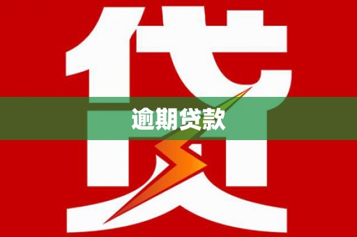 赞皇逾期贷款