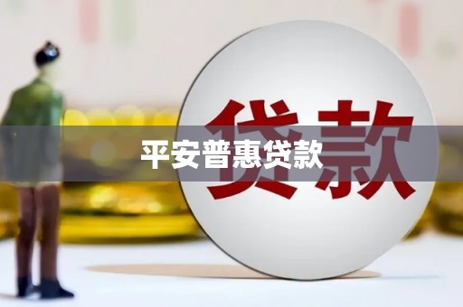 赞皇平安普惠贷款