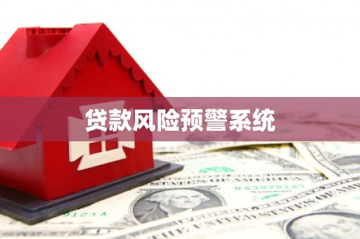 赞皇贷款风险预警系统