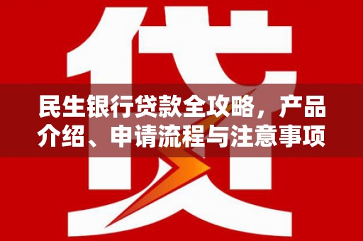 赞皇民生银行贷款全攻略，产品介绍、申请流程与注意事项